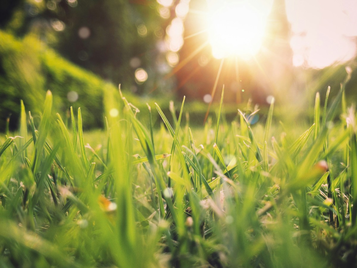 NLISN News, May&nbsp;2025